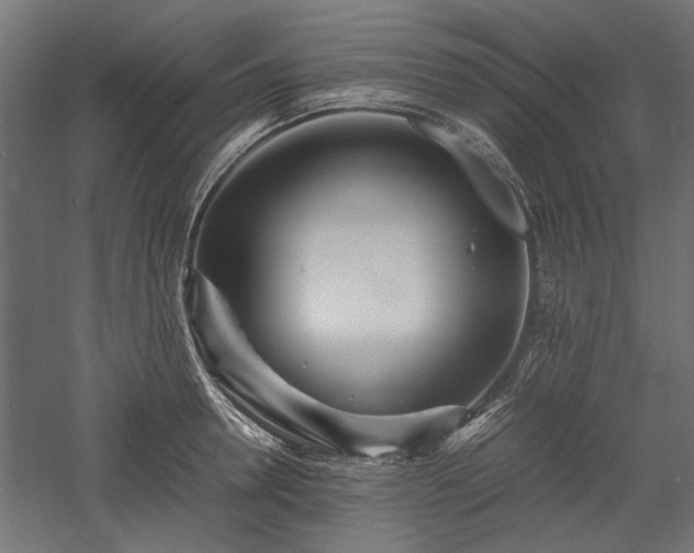 X0000057560946200509231156