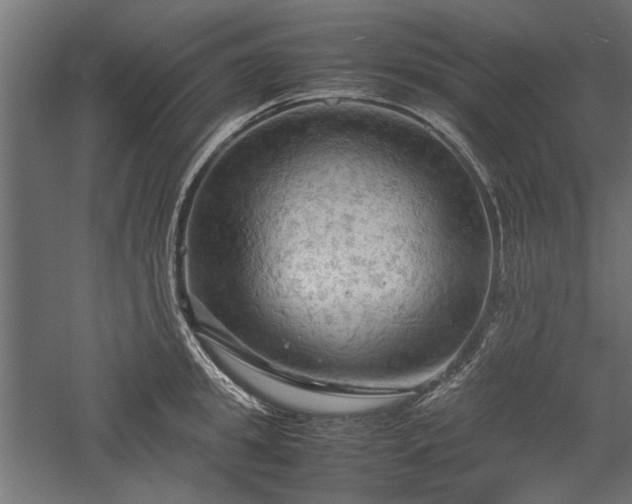 X0000057560949200509231156