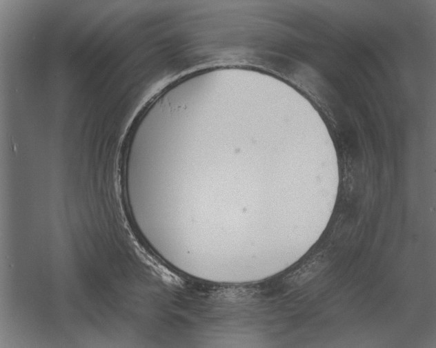 X0000057560950200509231156