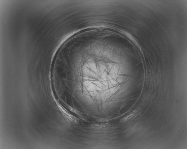 X0000057560951200509231156