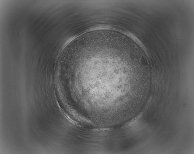 X0000057560953200509231156