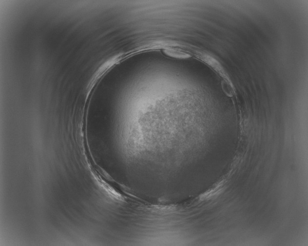 X0000057560954200509231156