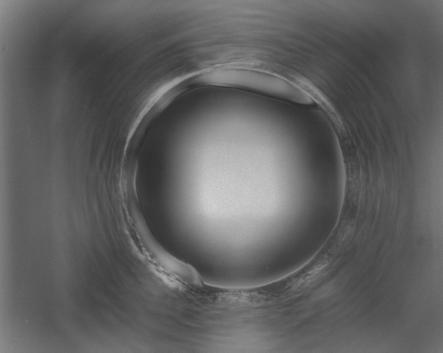 X0000057560956200509231156