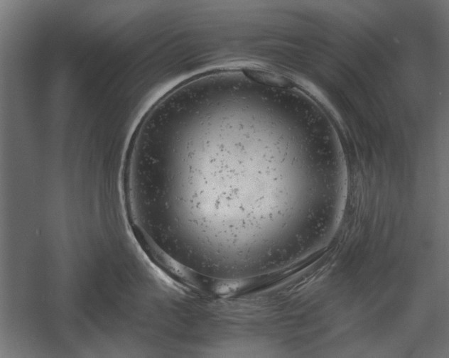 X0000057560959200509231156