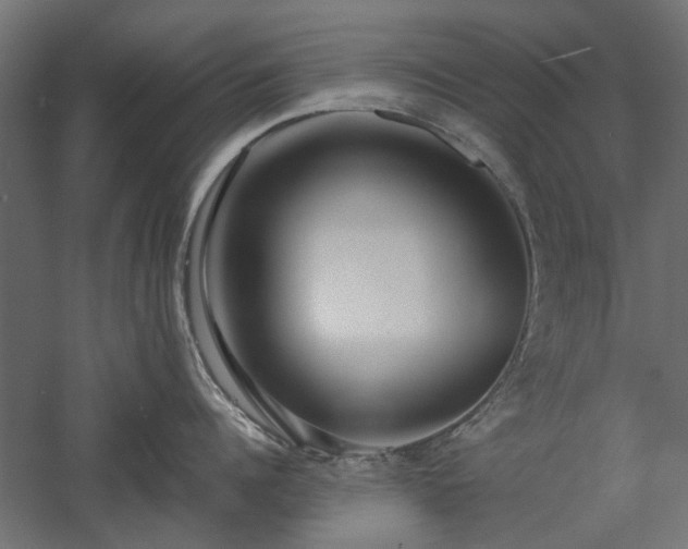 X0000057560960200509231156