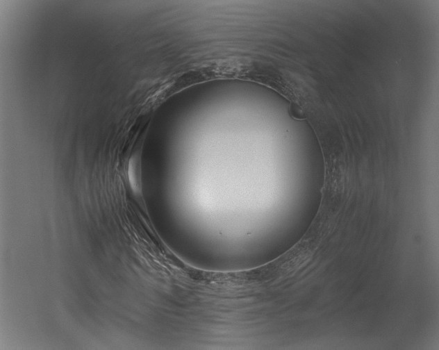 X0000057560962200509231155