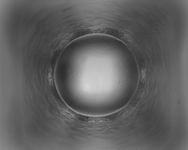 X0000057560963200509231155