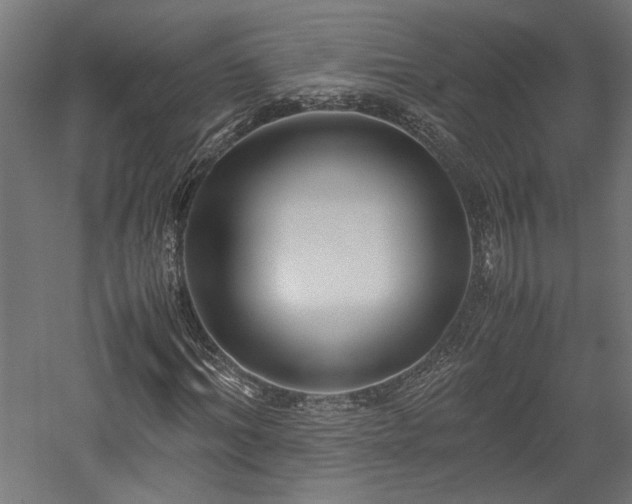 X0000057560964200509231155