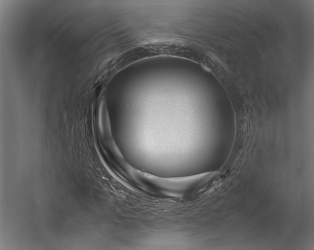 X0000057560965200509231155