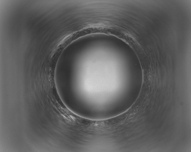 X0000057560968200509231155