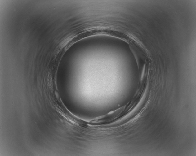 X0000057560969200509231155