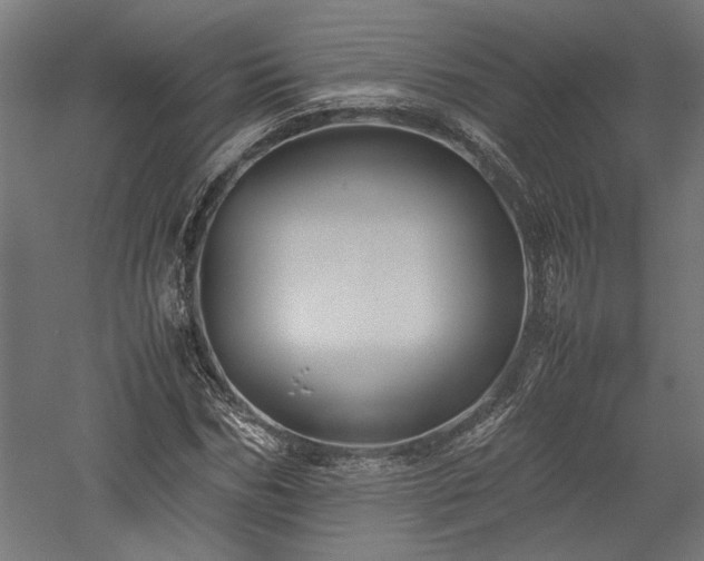 X0000057560970200509231155