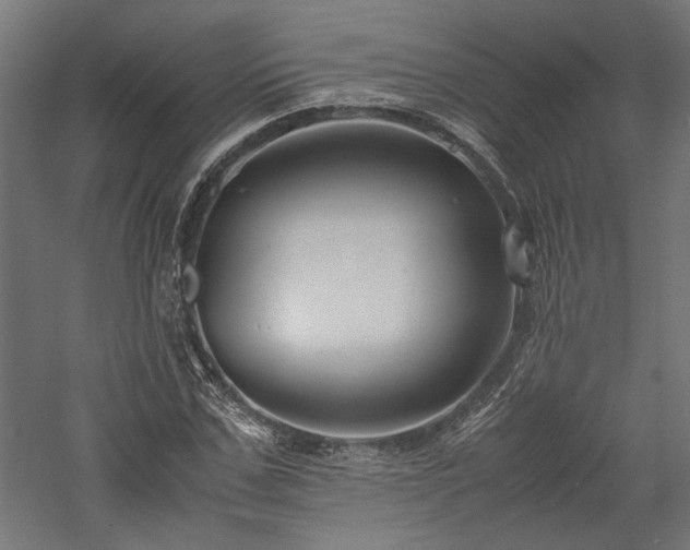 X0000057560971200509231155