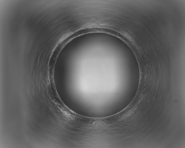 X0000057560974200509231155