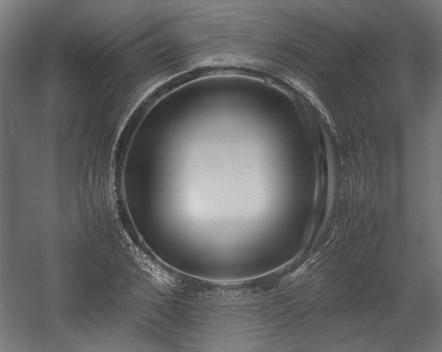 X0000057560976200509231155