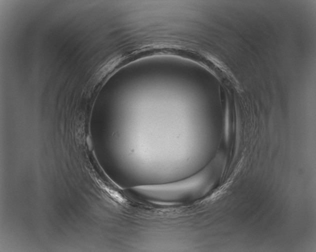 X0000057560977200509231155