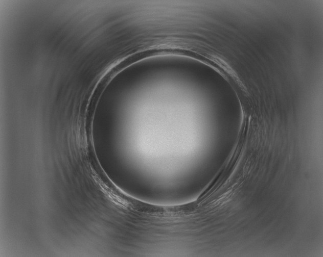 X0000057560980200509231155