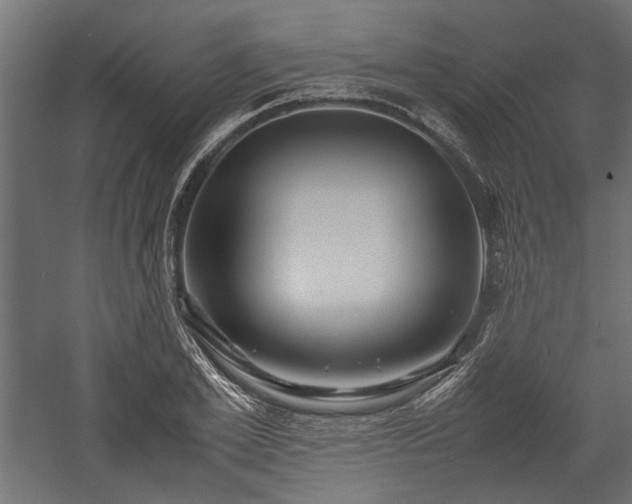 X0000057560981200509231155