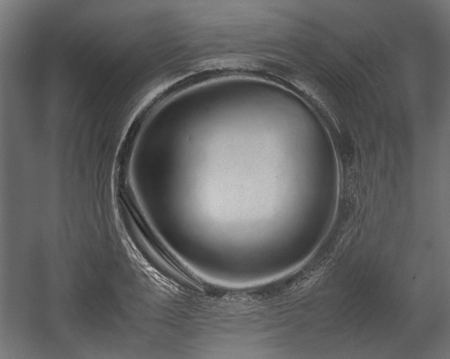 X0000057560983200509231155