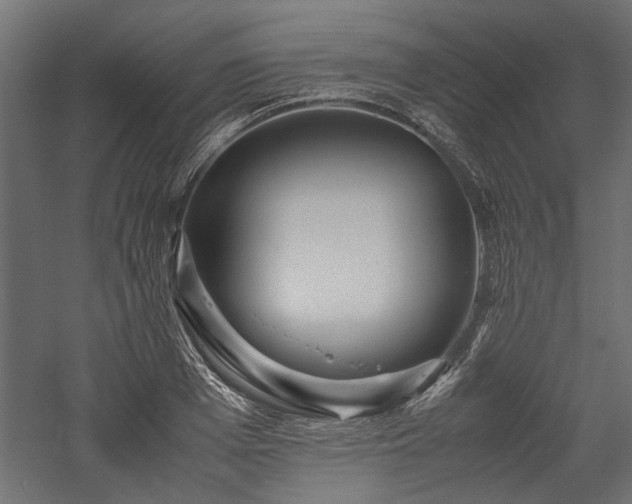 X0000057560985200509231155