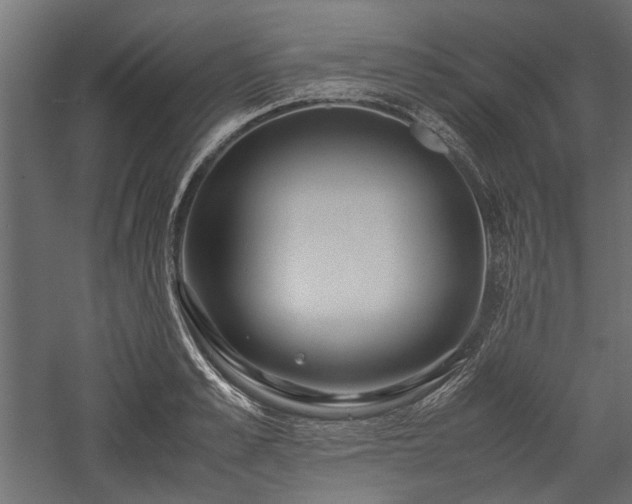 X0000057560989200509231154