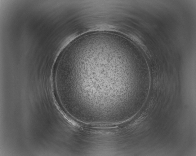 X0000057560990200509231154