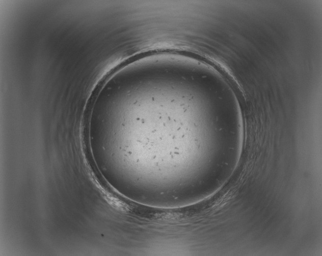 X0000057560991200509231154