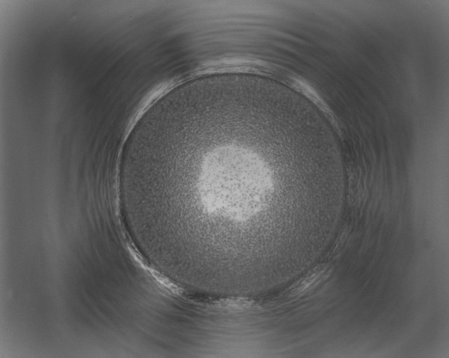 X0000057560994200509231154