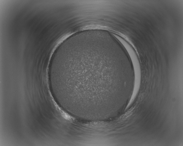 X0000057560995200509231154