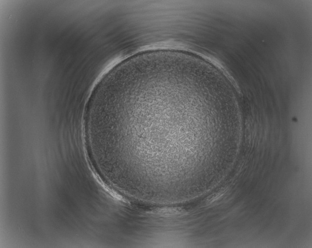 X0000057560998200509231154