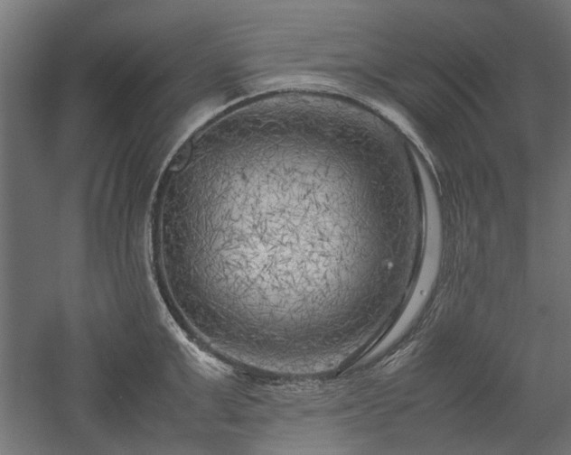 X0000057560999200509231154