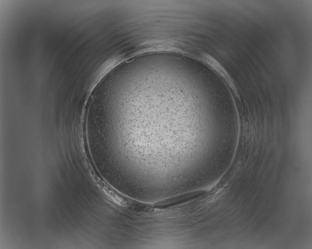 X0000057561002200509231154