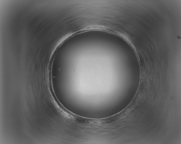 X0000057561003200509231154