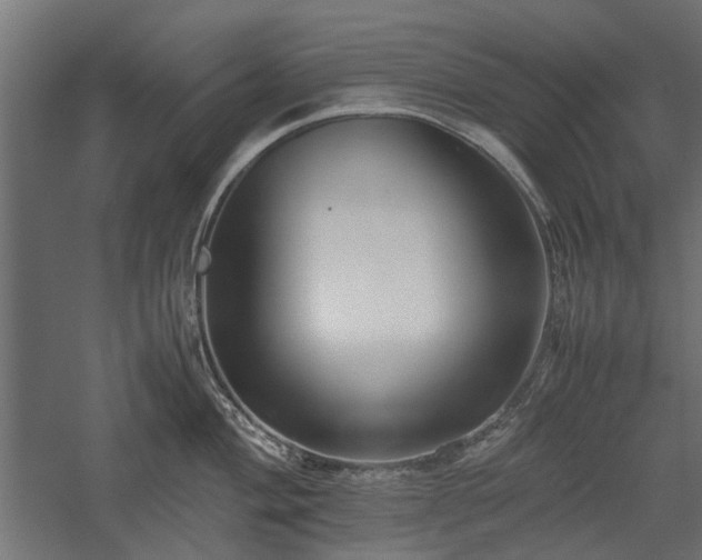 X0000057561004200509231154