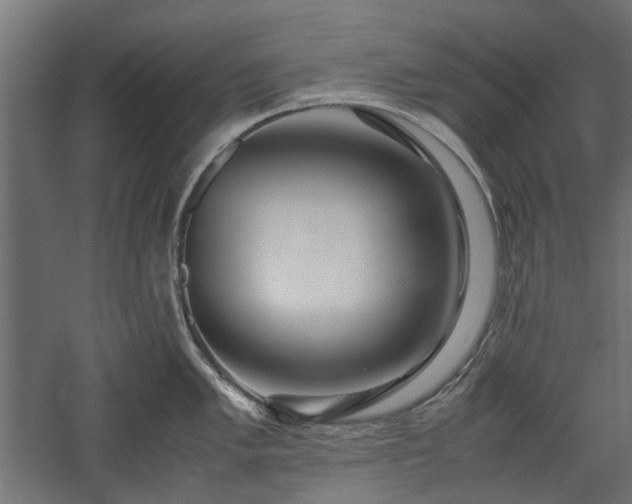 X0000057561005200509231154