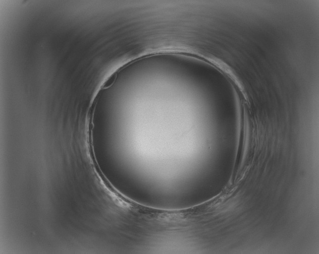 X0000057561006200509231154