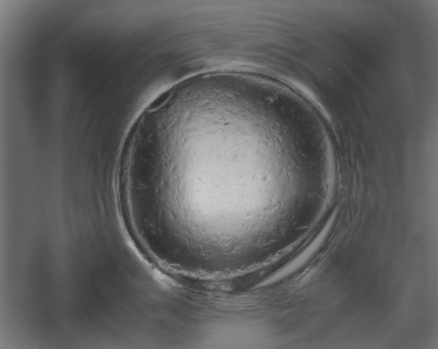 X0000057561007200509231154