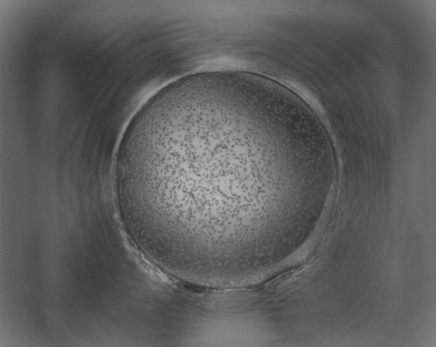 X0000057561008200509231154