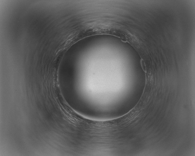 X0000057561012200509231153