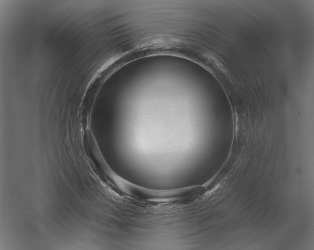 X0000057561018200509231154