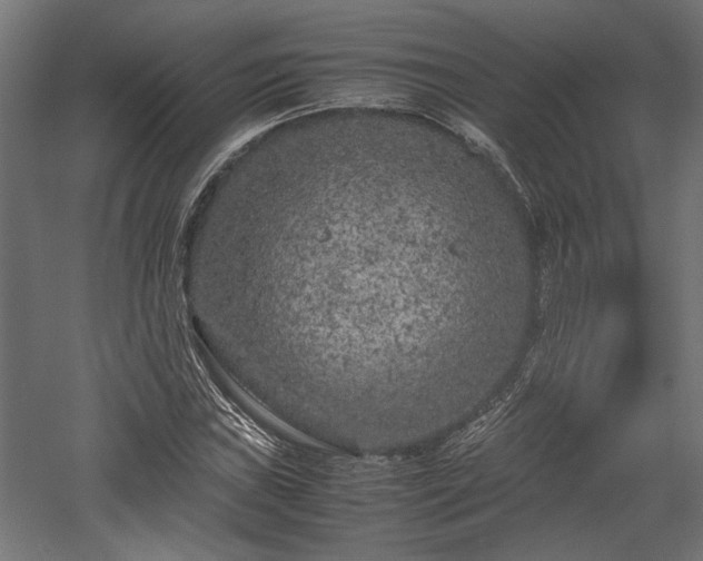 X0000057561019200509231154