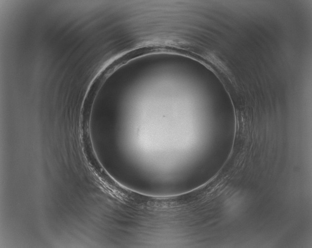 X0000057561020200509231154