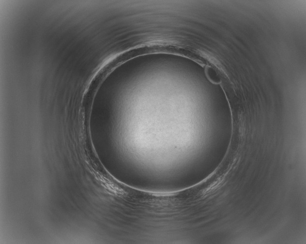 X0000057561021200509231154