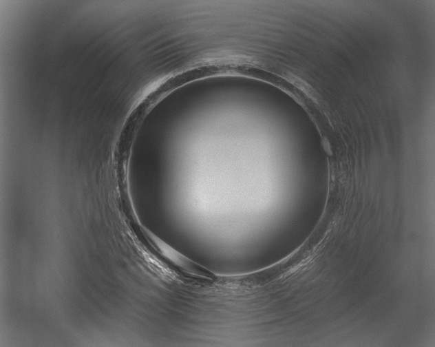 X0000057561022200509231154