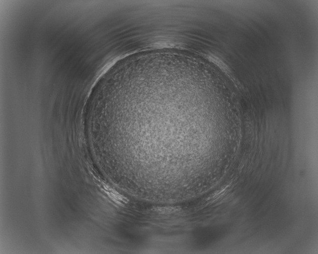 X0000057561023200509231154