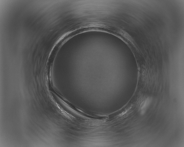 X0000057561024200509231154