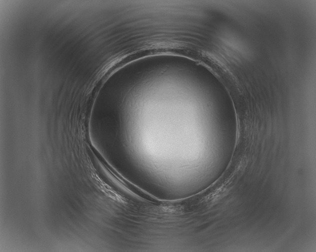 X0000057561025200509231154