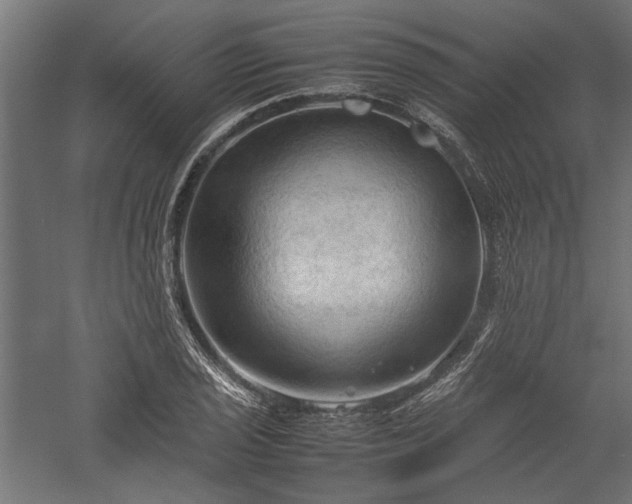 X0000057561029200509231154