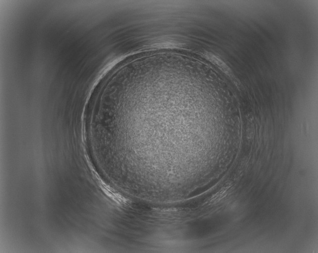 X0000057561031200509231154