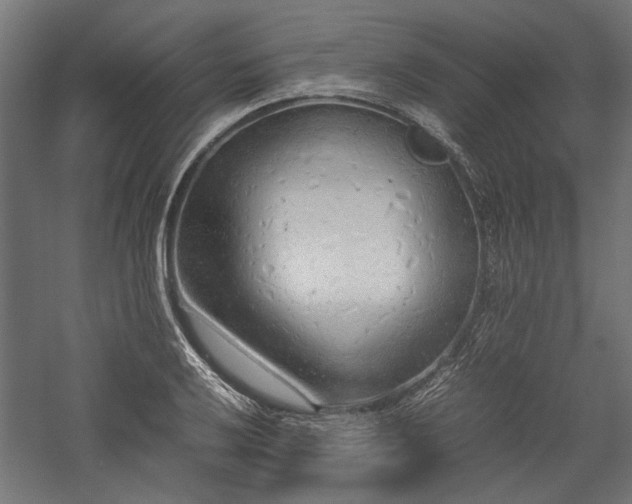 X0000057561032200509231154